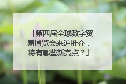 第四届全球数字贸易博览会来沪推介，将有哪些新亮点？