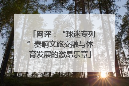 网评：“球迷专列”奏响文旅交融与体育发展的激昂乐章