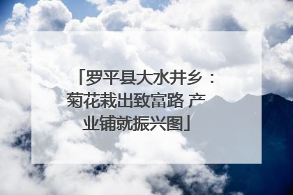 罗平县大水井乡：菊花栽出致富路 产业铺就振兴图