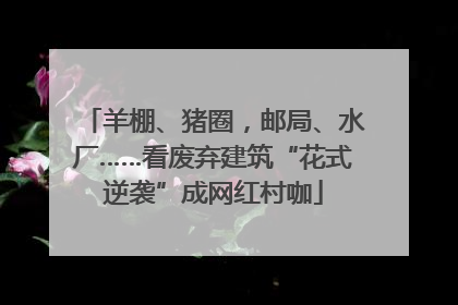 羊棚、猪圈，邮局、水厂……看废弃建筑“花式逆袭”成网红村咖