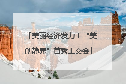 美丽经济发力！“美创静界”首秀上交会