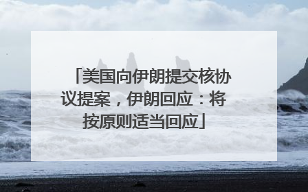 美国向伊朗提交核协议提案，伊朗回应：将按原则适当回应