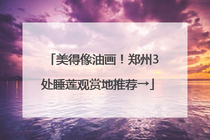 美得像油画！郑州3处睡莲观赏地推荐→