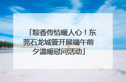 粽香传情暖人心！东莞石龙城管开展端午前夕温暖慰问活动