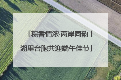 粽香情浓·两岸同韵丨湖里台胞共迎端午佳节