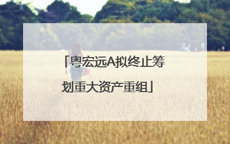 粤宏远A拟终止筹划重大资产重组