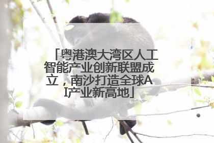 粤港澳大湾区人工智能产业创新联盟成立，南沙打造全球AI产业新高地