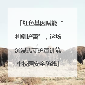 红色基因赋能“利剑护蕾”，这场沉浸式守护宣讲筑牢校园安全防线