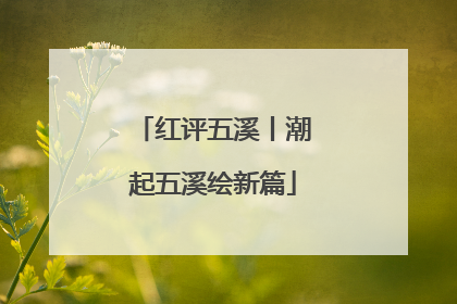 红评五溪丨潮起五溪绘新篇
