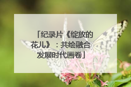 纪录片《绽放的花儿》：共绘融合发展时代画卷