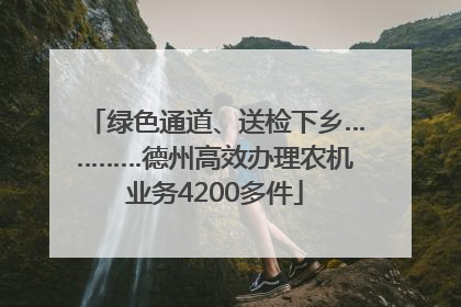绿色通道、送检下乡…………德州高效办理农机业务4200多件