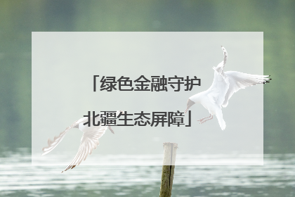 绿色金融守护北疆生态屏障