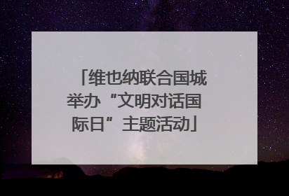 维也纳联合国城举办“文明对话国际日”主题活动