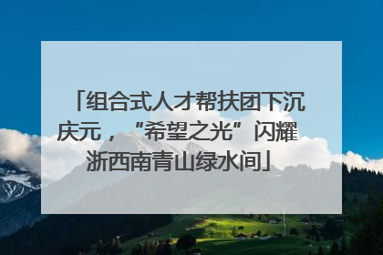 组合式人才帮扶团下沉庆元，“希望之光”闪耀浙西南青山绿水间