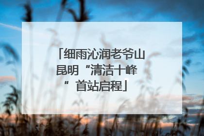 细雨沁润老爷山 昆明“清洁十峰”首站启程