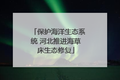 保护海洋生态系统 河北推进海草床生态修复