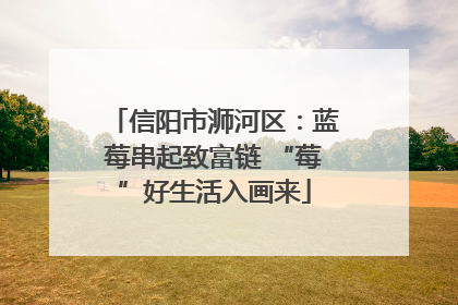 信阳市浉河区：蓝莓串起致富链 “莓”好生活入画来