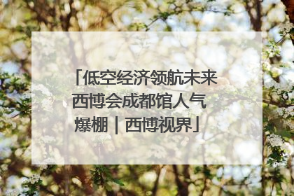 低空经济领航未来 西博会成都馆人气爆棚｜西博视界