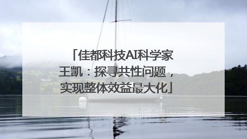 佳都科技AI科学家王凯：探寻共性问题，实现整体效益最大化