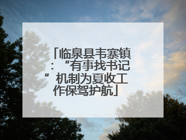临泉县韦寨镇：“有事找书记”机制为夏收工作保驾护航