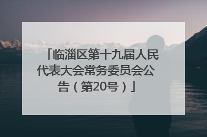临淄区第十九届人民代表大会常务委员会公告（第20号）