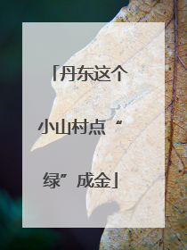 丹东这个小山村点“绿”成金