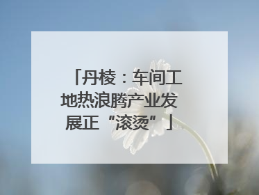 丹棱：车间工地热浪腾产业发展正“滚烫”