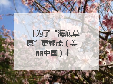 为了“海底草原”更繁茂（美丽中国）