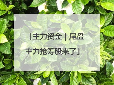 主力资金｜尾盘主力抢筹股来了