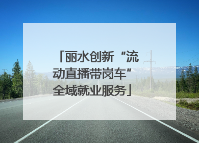 丽水创新“流动直播带岗车”全域就业服务