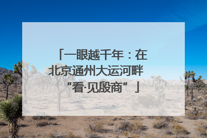 一眼越千年：在北京通州大运河畔“看·见殷商”