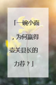 一碗小面，为何赢得壶关县长的力荐？