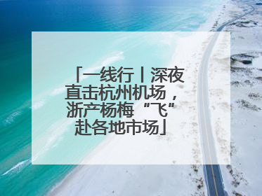 一线行丨深夜直击杭州机场，浙产杨梅“飞”赴各地市场