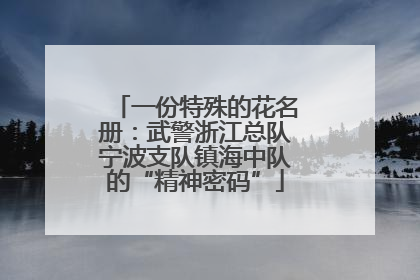 一份特殊的花名册：武警浙江总队宁波支队镇海中队的“精神密码”