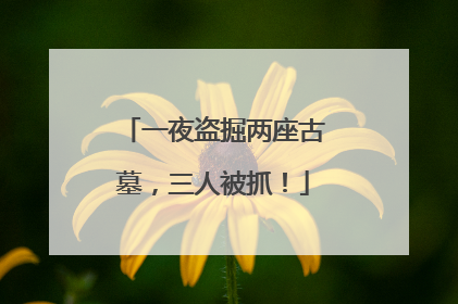 一夜盗掘两座古墓，三人被抓！