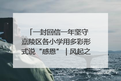 一封回信一年坚守 嘉陵区各小学用多彩形式说“感恩”｜风起之江 扶摇直上