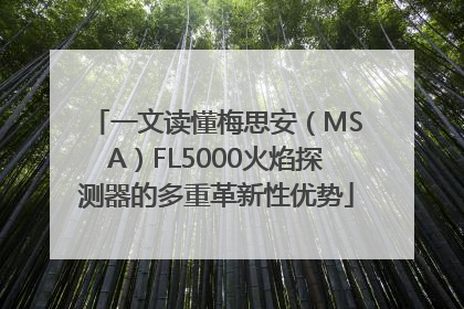 一文读懂梅思安（MSA）FL5000火焰探测器的多重革新性优势