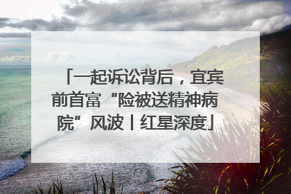 一起诉讼背后，宜宾前首富“险被送精神病院”风波丨红星深度