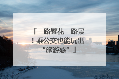 一路繁花一路景！乘公交也能玩出“旅游感”