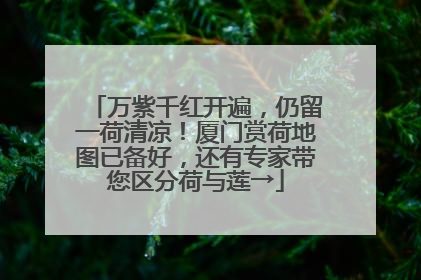 万紫千红开遍，仍留一荷清凉！厦门赏荷地图已备好，还有专家带您区分荷与莲→