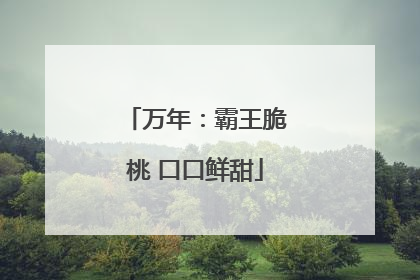 万年：霸王脆桃 口口鲜甜