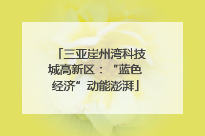 三亚崖州湾科技城高新区：“蓝色经济”动能澎湃