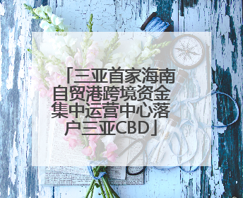 三亚首家海南自贸港跨境资金集中运营中心落户三亚CBD