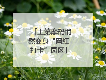 上第摩码悄然变身“网红打卡”园区