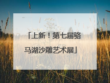 上新！第七届骆马湖沙雕艺术展