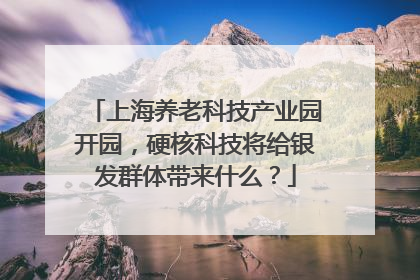 上海养老科技产业园开园，硬核科技将给银发群体带来什么？