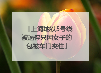 上海地铁5号线被逼停只因女子的包被车门夹住