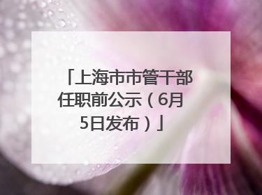 上海市市管干部任职前公示（6月5日发布）
