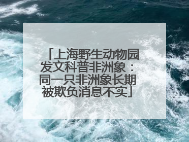 上海野生动物园发文科普非洲象：同一只非洲象长期被欺负消息不实