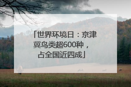 世界环境日：京津冀鸟类超600种，占全国近四成